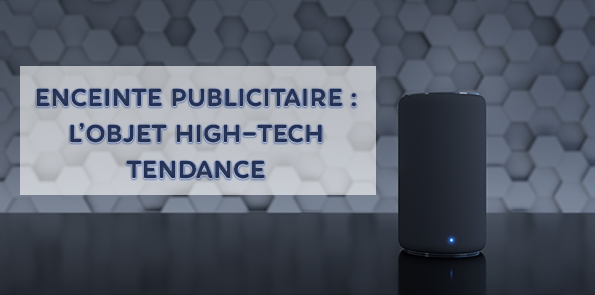 https://www.alvs.fr/institutionnelle/enceinte